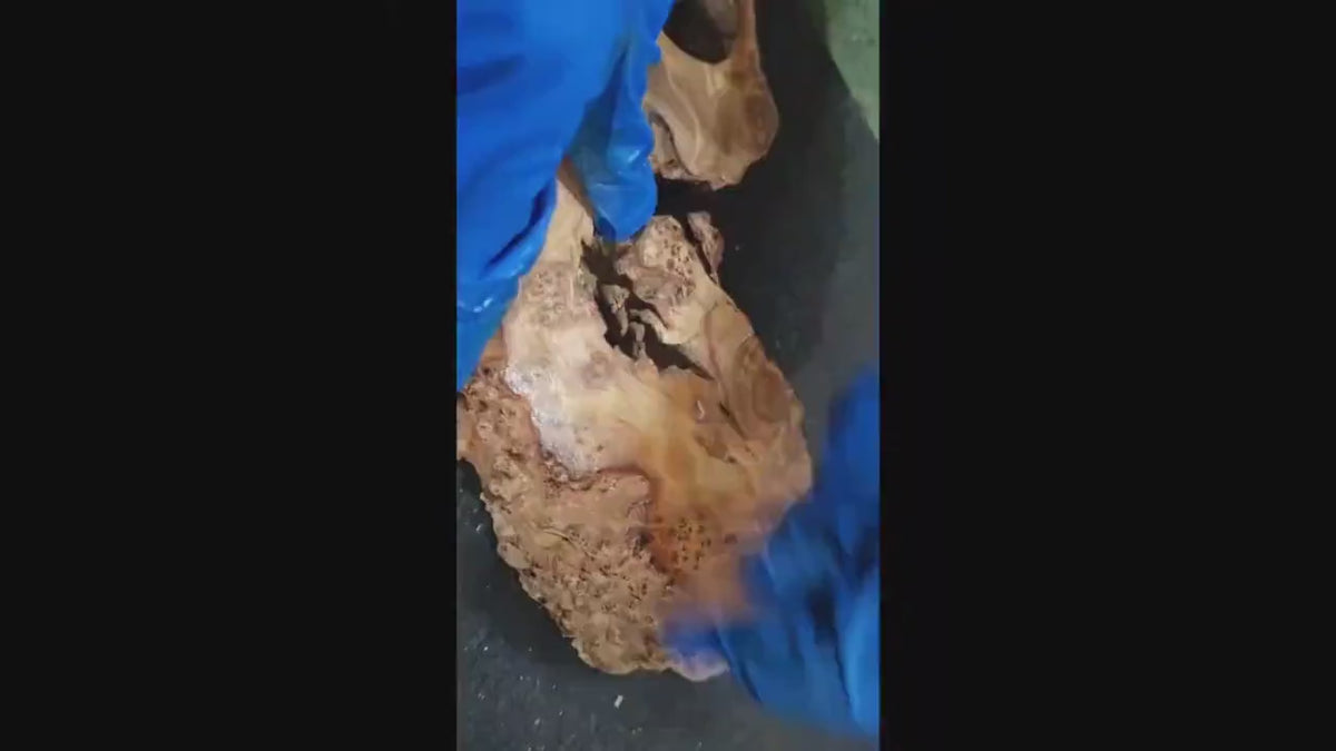 Minimalist Round Moss & Wood Wall Art product video