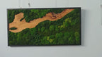 Horizontal 3D Wood & Moss Wall Art product video