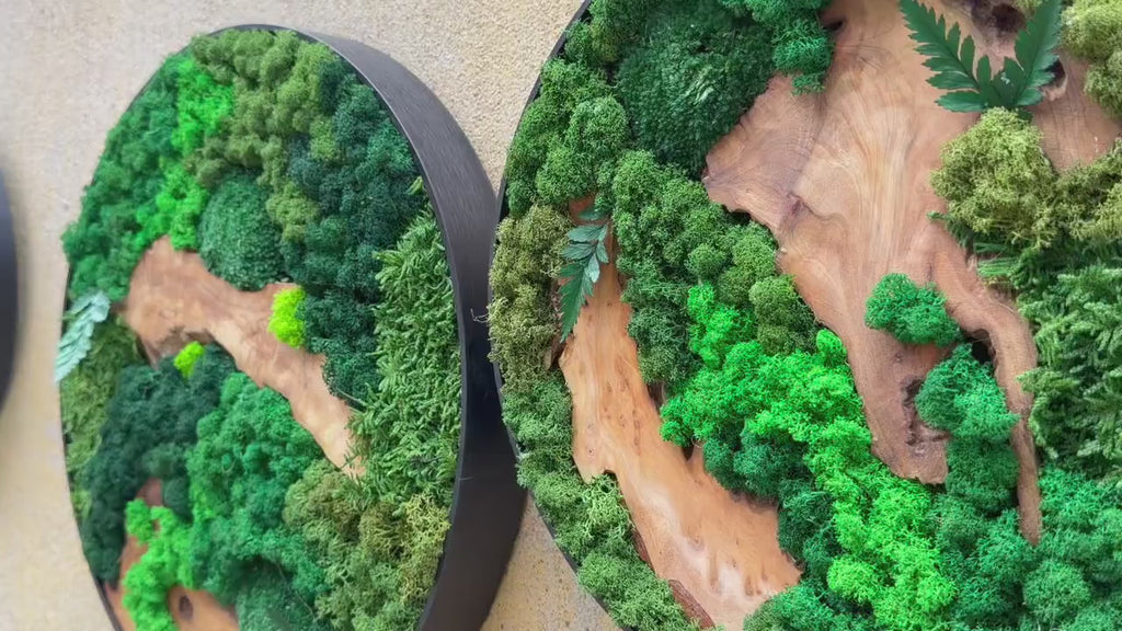 Round Cedar & Moss Wall Art, 12 or 16 Inch product video