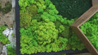 Square Wood Grain & Moss Wall Art product video