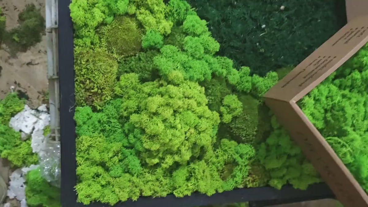 Square Wood Grain & Moss Wall Art product video