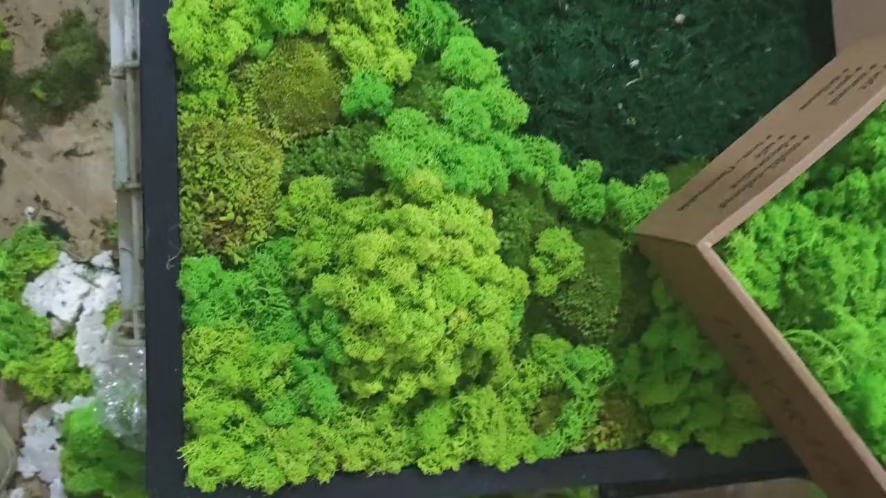 Square Wood Grain & Moss Wall Art product video