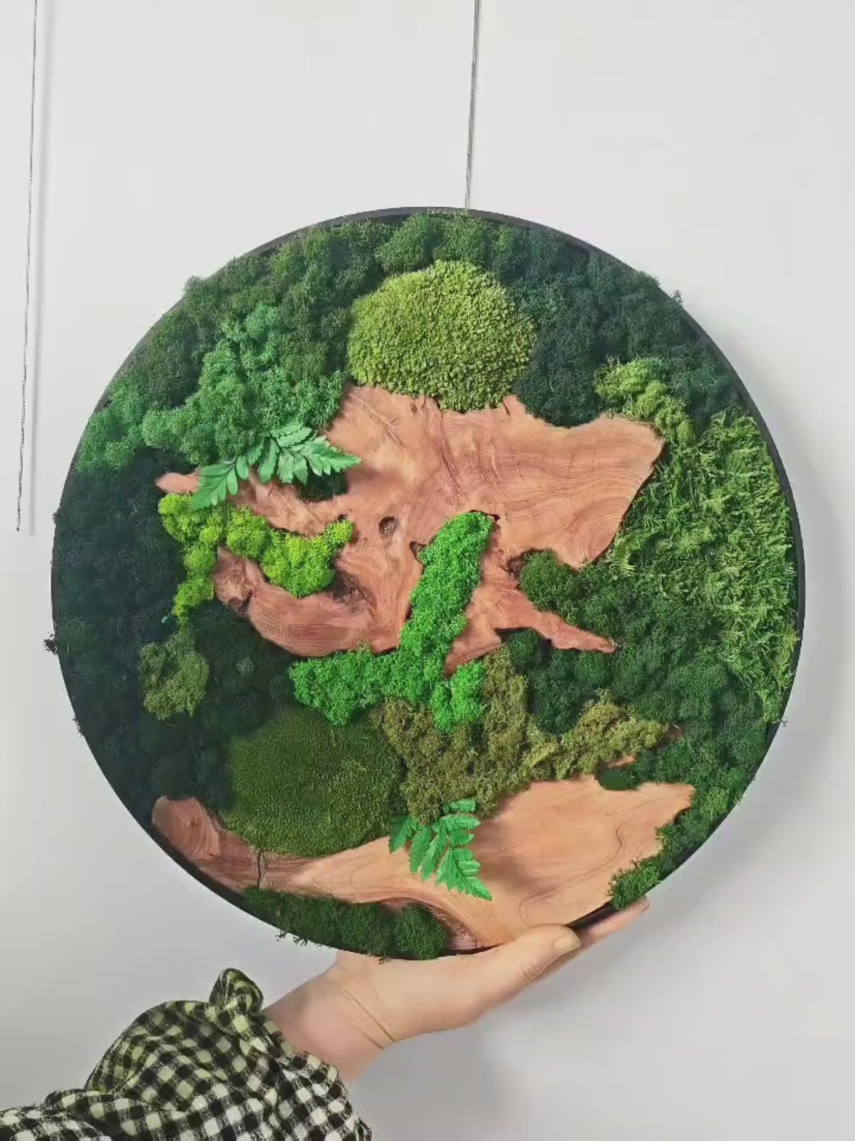 Preserved moss artwork — product video