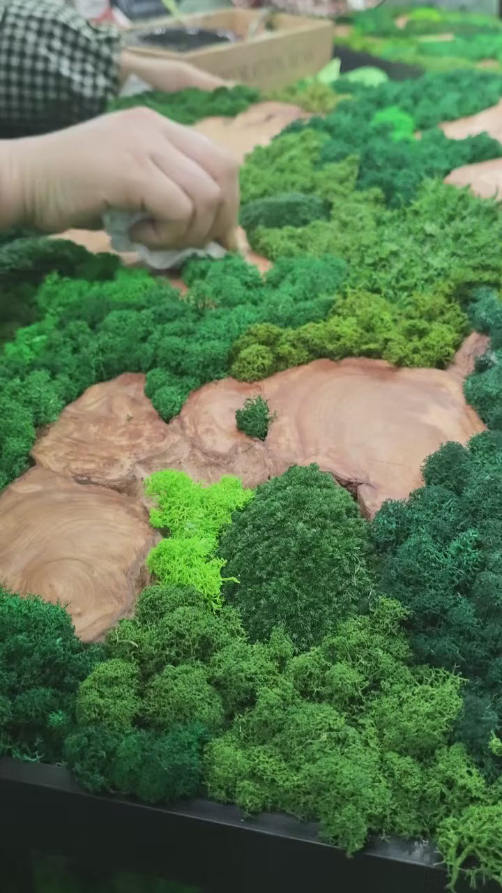 Hands arranging preserved moss around natural wood in a framed artwork.