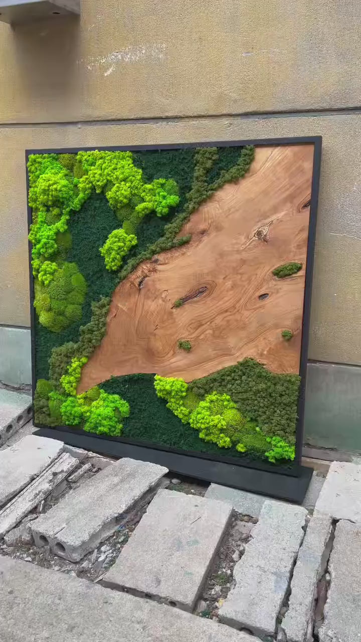 Square Wood Grain & Moss Wall Art product video