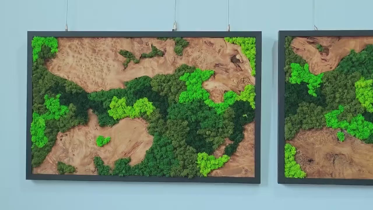 Wood Slab & Moss Wall Sculpture product video