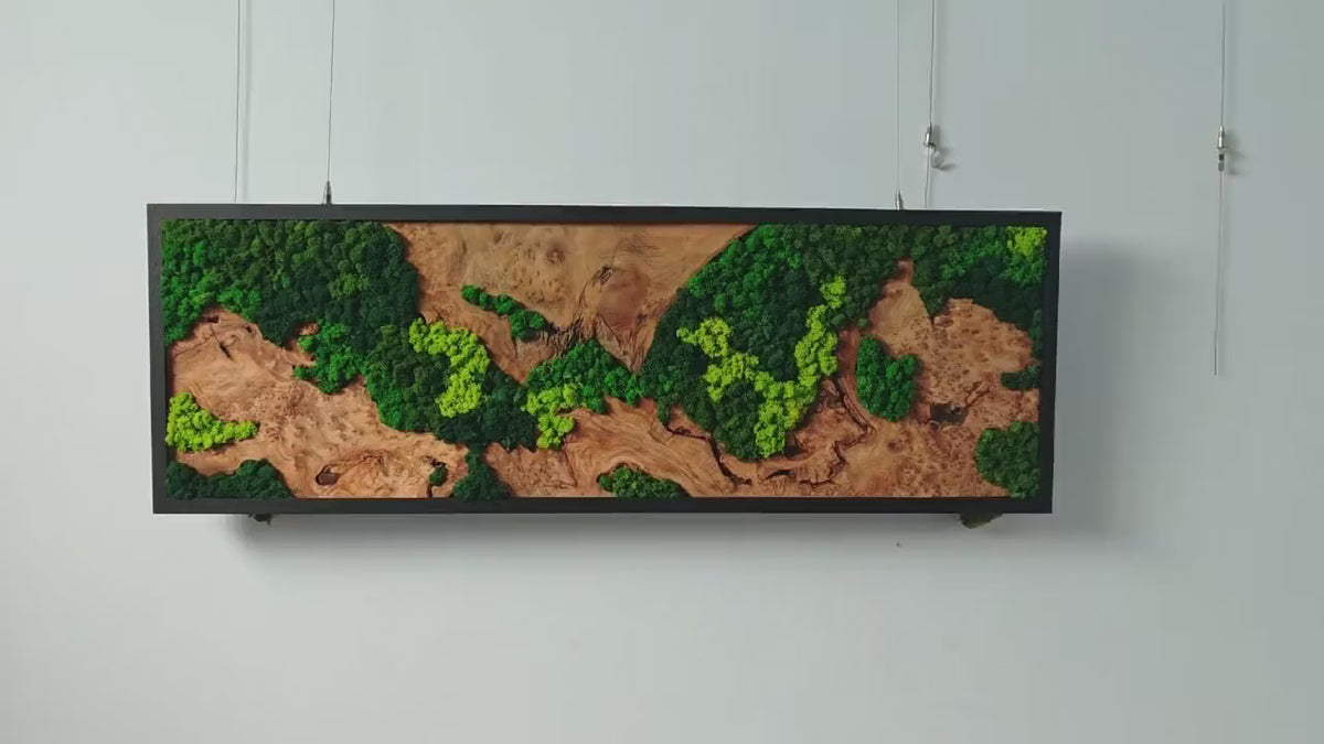 Rectangular Wood River & Moss Wall Art product video