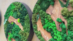 Preserved moss artwork — product video